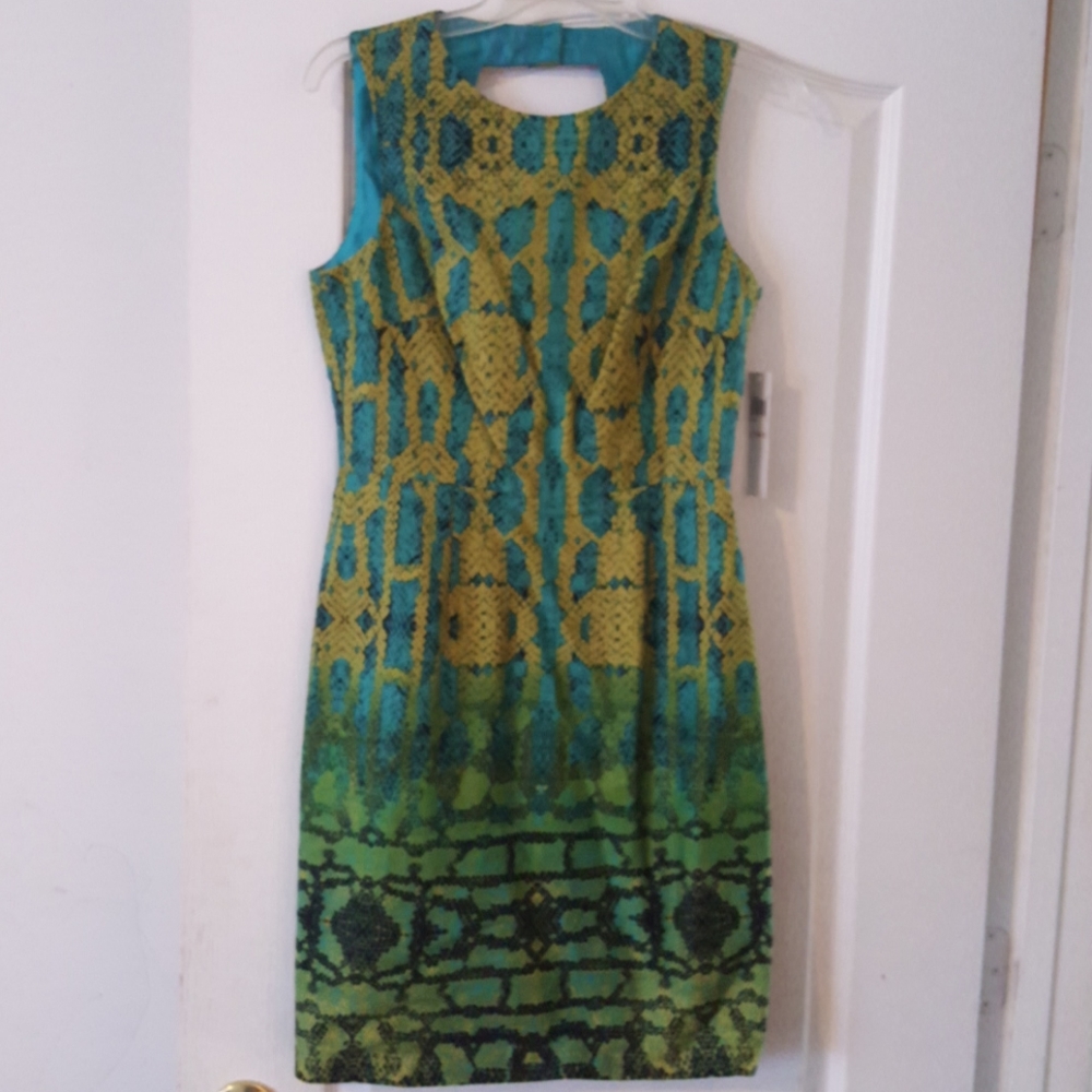 Brand new Muse dress